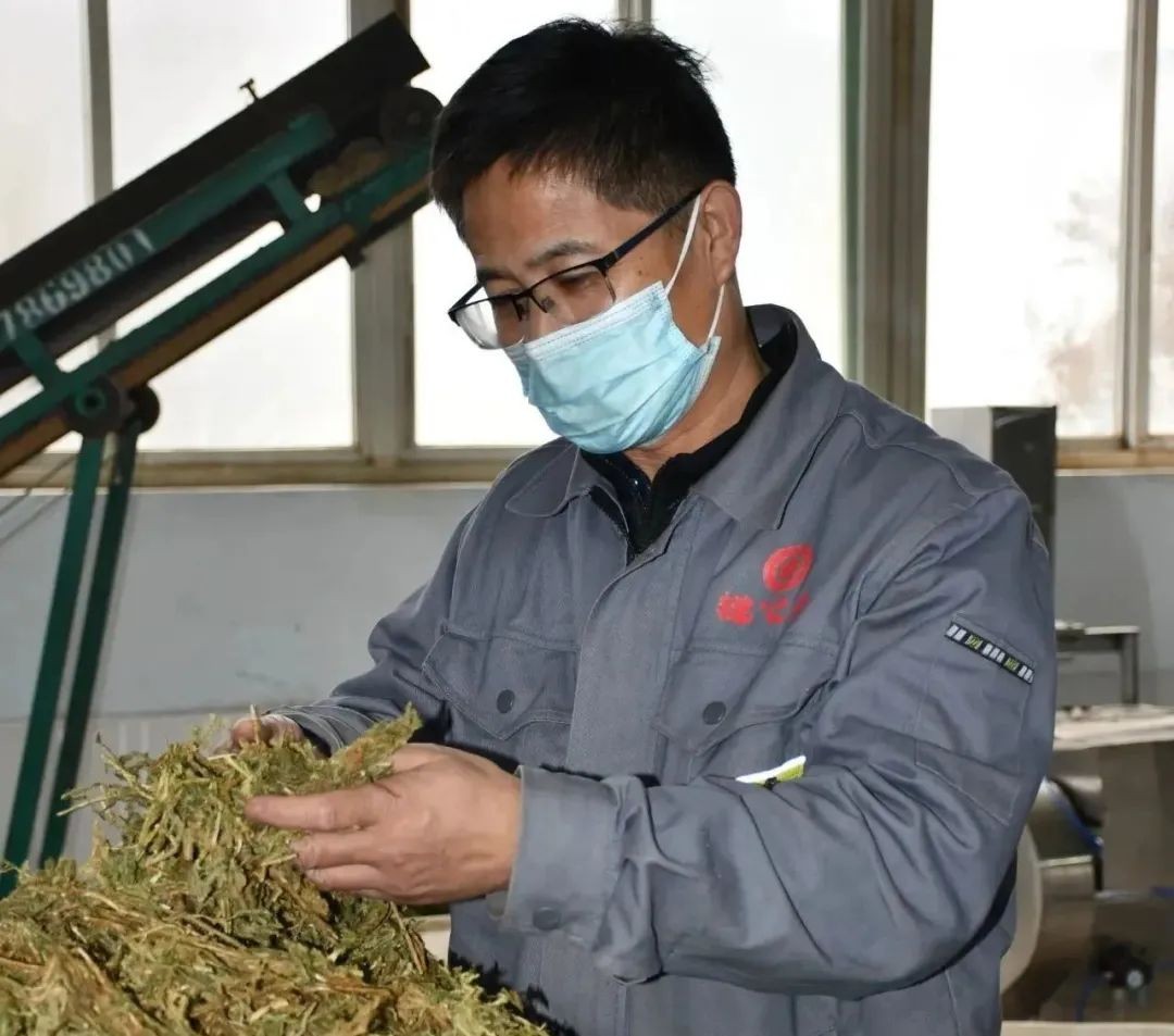 【向下扎根，向上生長】孫吉民：20年堅持做一件事